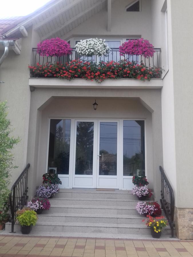 Pensiunea Abel Hotel Mihai Viteazu  Exterior photo