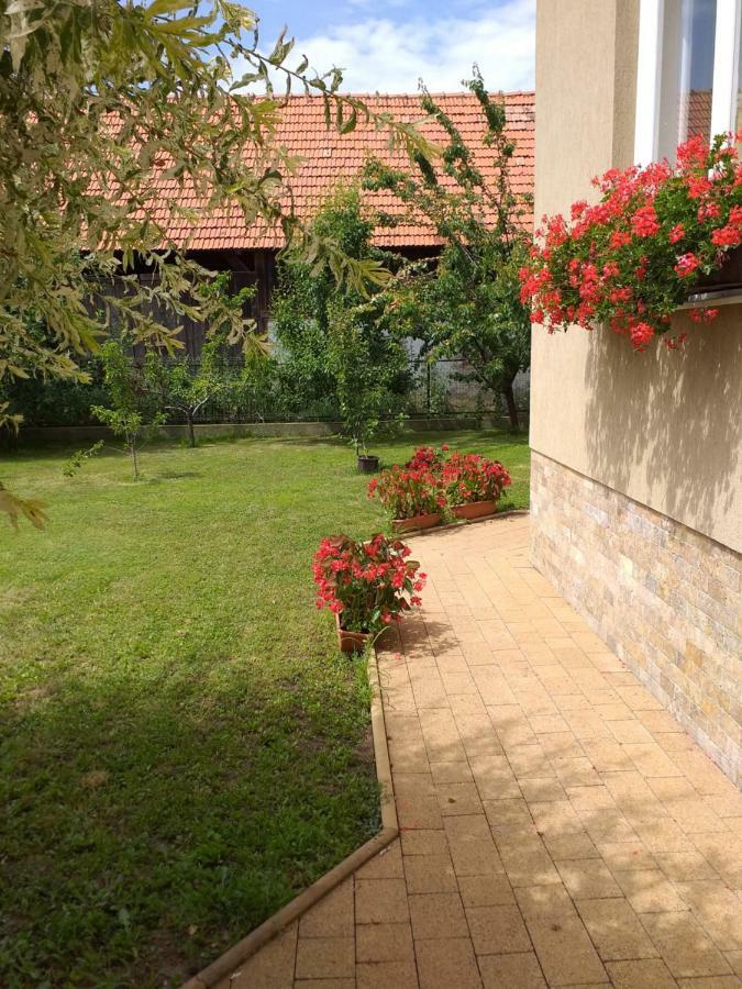 Pensiunea Abel Hotel Mihai Viteazu  Exterior photo